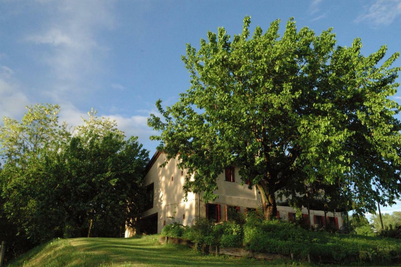 Villa Ca Borgh Santa Maria di Feletto Esterno foto